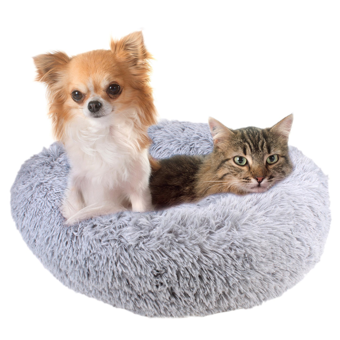 Coussin lit apaisant ZenPur pour chat, favorisant relaxation et sommeil réparateur
