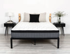 Studio Plush Euro Comfort Mattress