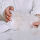 ZenPur Couette Été Premium, Hypoallergénique, Ultra Douce, Respirante